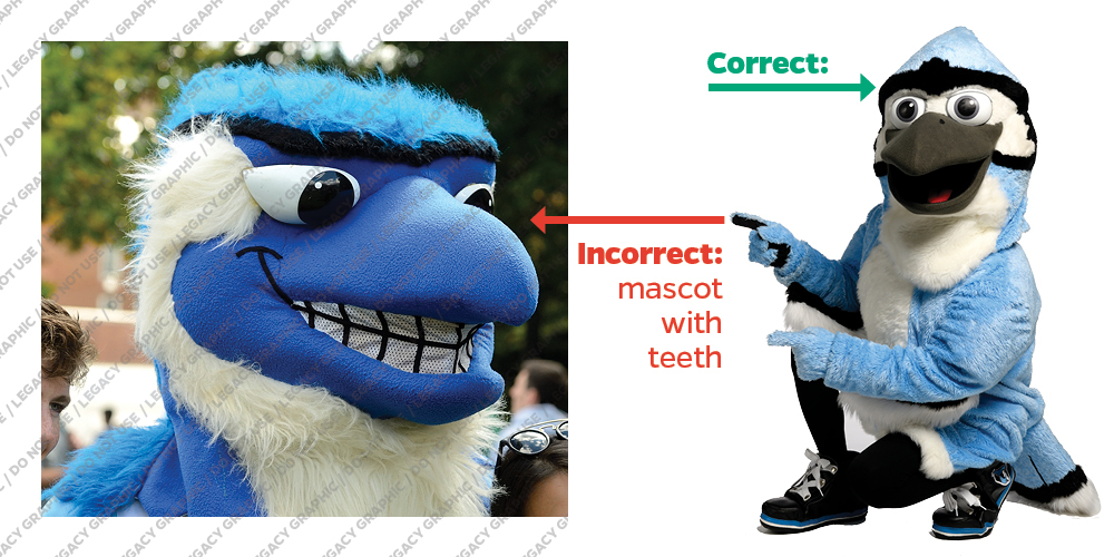A side by side comparison of a previous Johns Hopkins Jay mascot costume that included teeth on the left and the current Jay mascot costume (without teeth) on the right.