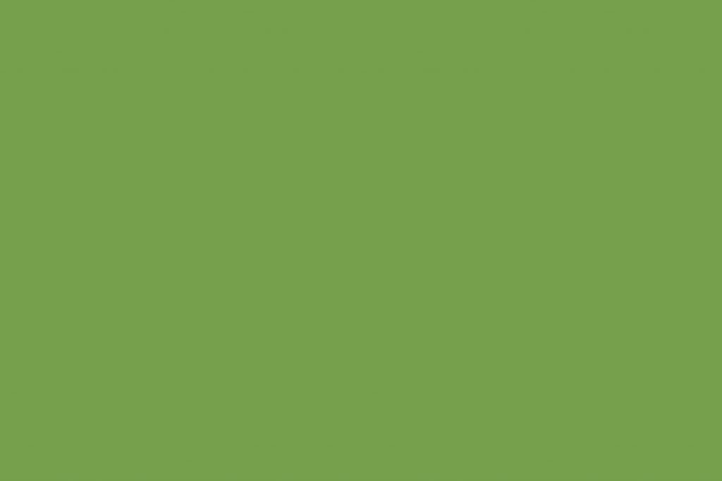 Lime green swatch