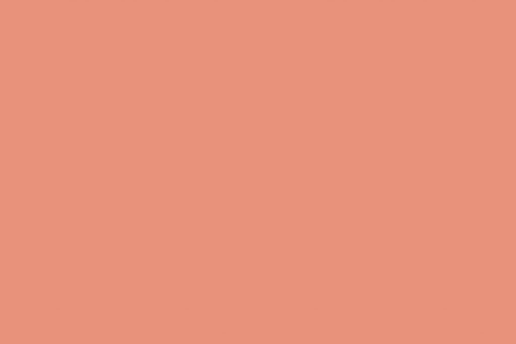 Salmon swatch