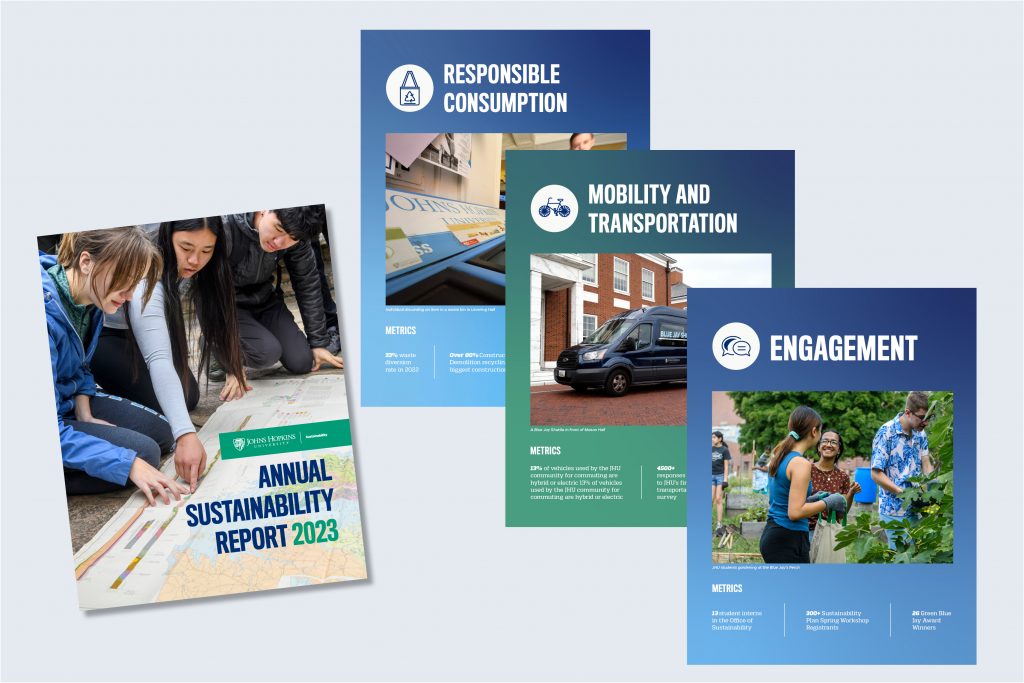 Sustainability report using icons