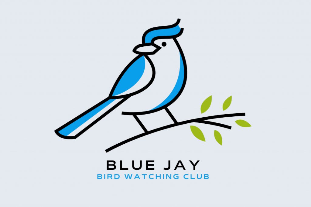 Blue Jay Bird Watching Club logo