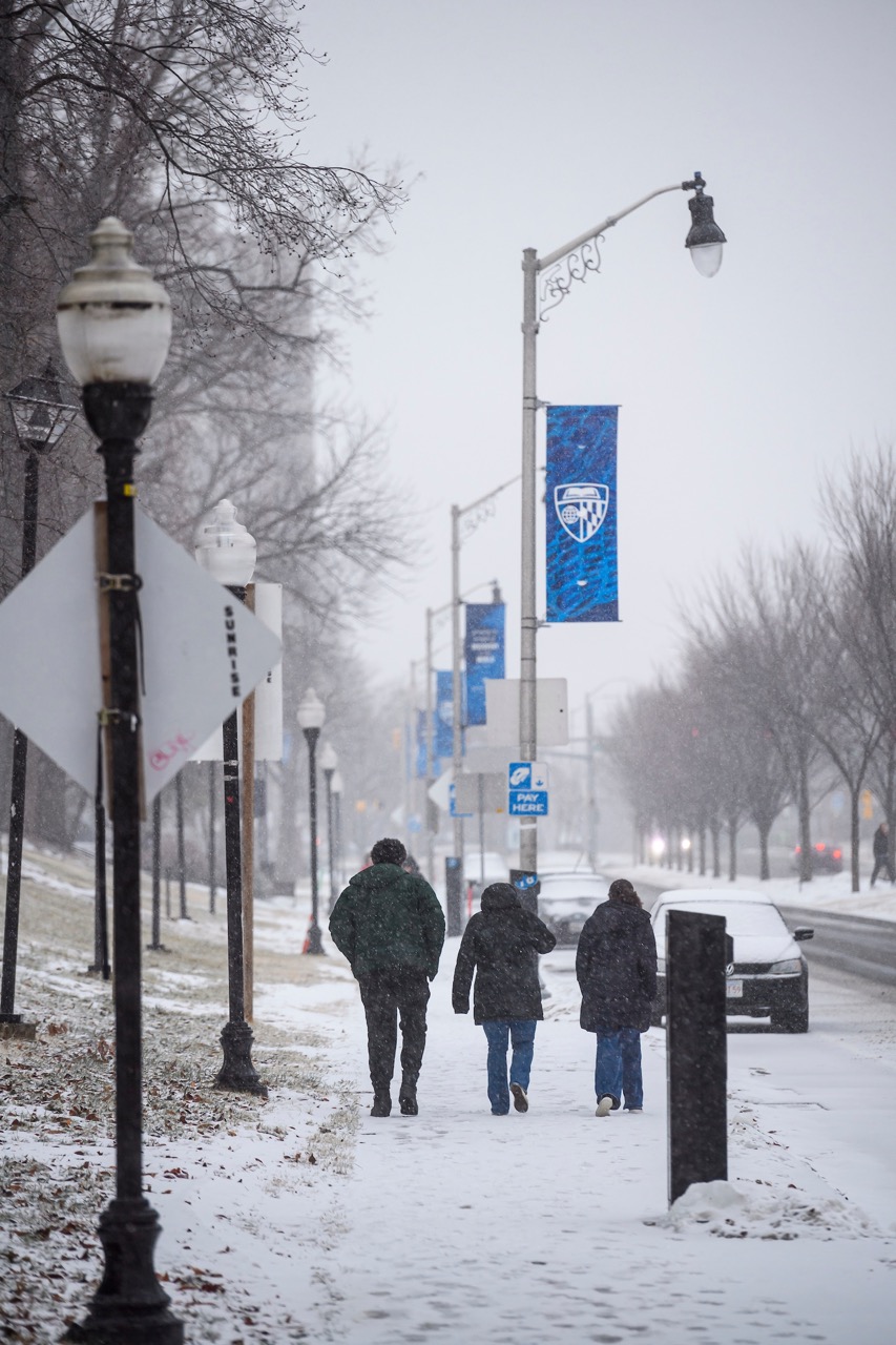 Campus Light Pole Banners image