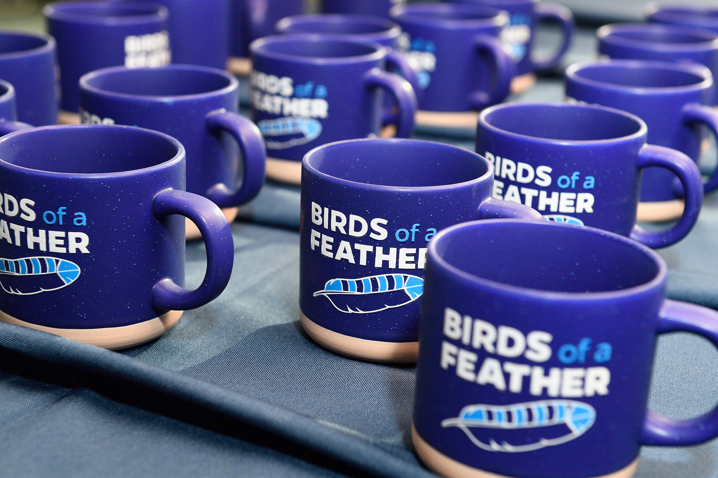 Birds of a Feather Mugs image